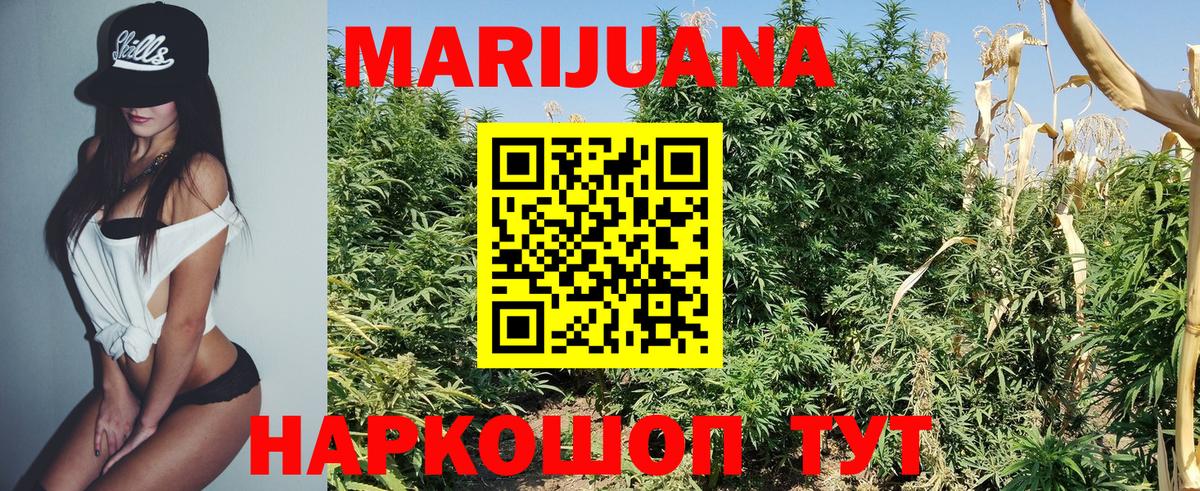 Марихуана сатива  Конопля Bruce Banner  Каннабис план  Вязники  Вход с VPN 